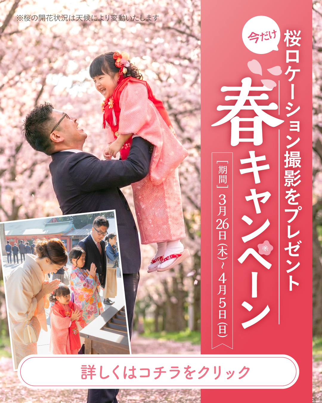 2026春季キャンペーン